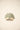 CAPPELLO forty seven 47 B-BSTGM17GWS-K2