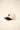 CAPPELLO forty seven 47 B-MVPTT17WBV-NT