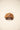 CAPPELLO forty seven 47 BAS-MDTTC904GWP-QL10