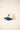 CAPPELLO forty seven 47 B-MVPTT12WBV-NT
