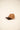 CAPPELLO forty seven 47 BAS-MDTTC904GWP-QL10