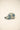 CAPPELLO forty seven 47 B-GRDNA17GWS-TB