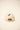 CAPPELLO forty seven 47 B-MVPTT17WBV-NT